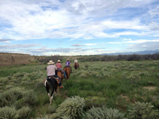 USA-Colorado-Chico Cattle Ranch